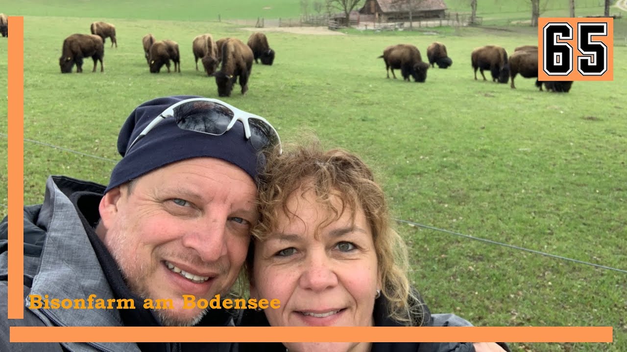 #004 Mit dem MegaMobil auf der Bisonfarm, Bodman Bodensee