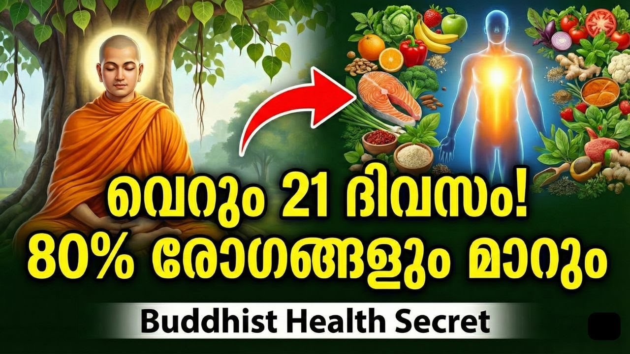 വെറും 21 ദിവസം! ശരീരത്തിലെ 80% രോഗങ്ങളും മാറും | Buddhist Story Health Secret Malayalam