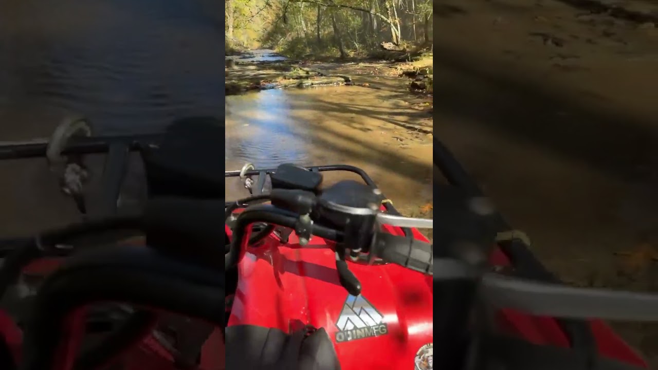 BRAPPPP!!!! #Brapstar in the wild!!  #shadetreearmy #Honda #fourwheeler