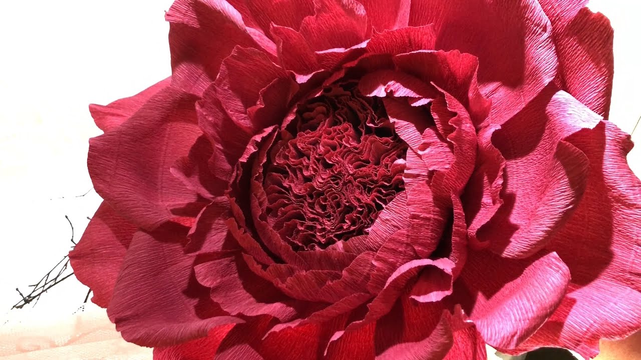 Ростовой цветок из гофрированной бумаги. A large flower made of crepe paper.