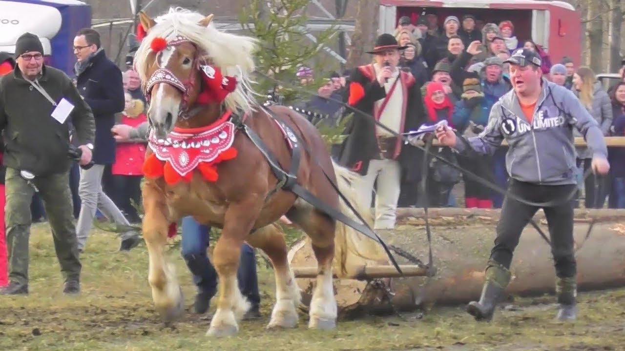 Węgierska Górka-2020-X Zawody Furmanów#3