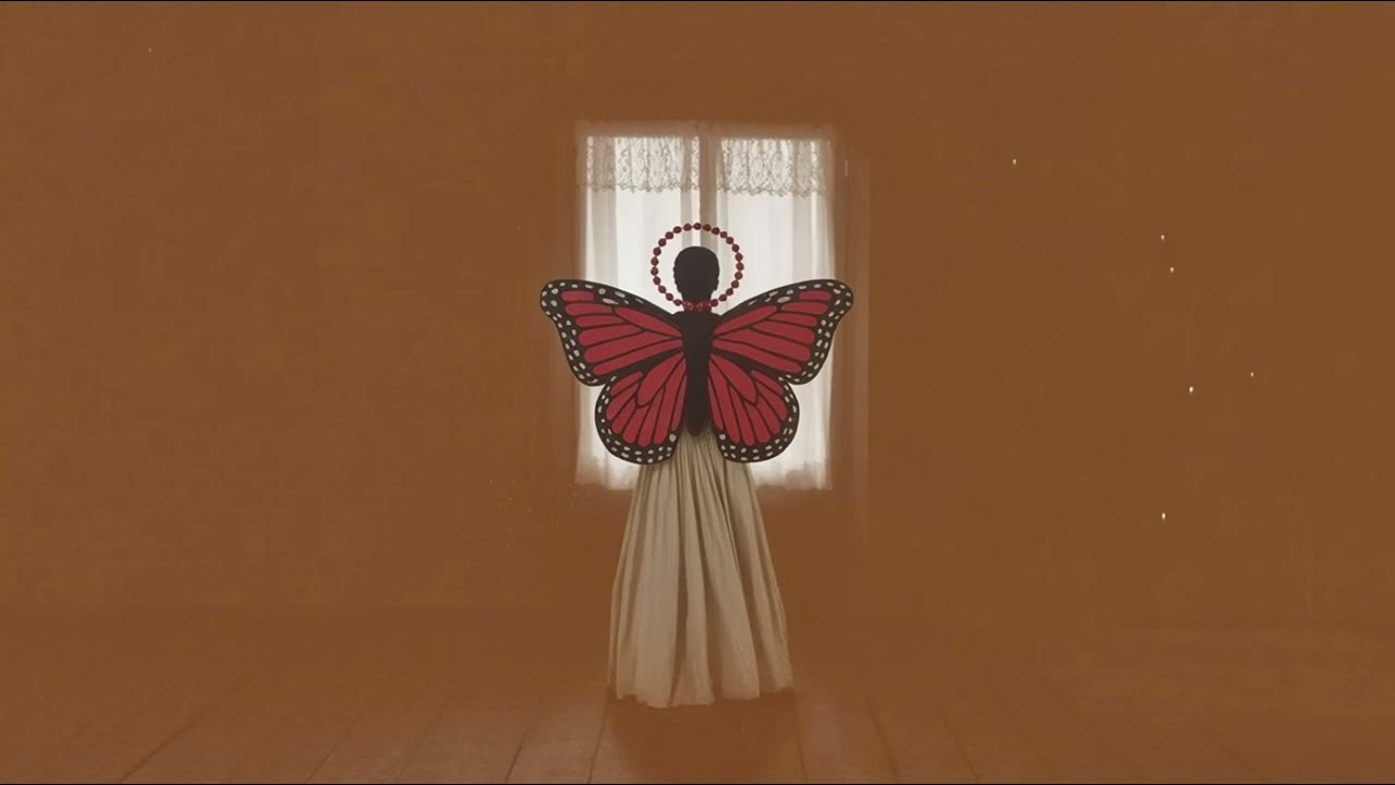 Kimsesiz R&uuml;ya - Nikbinler