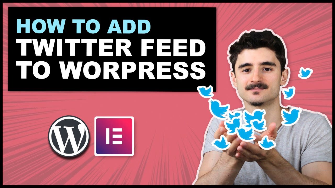 How to Embed Twitter Feed to WordPress - Timeline & Hastag [in Elementor & Gutenberg]