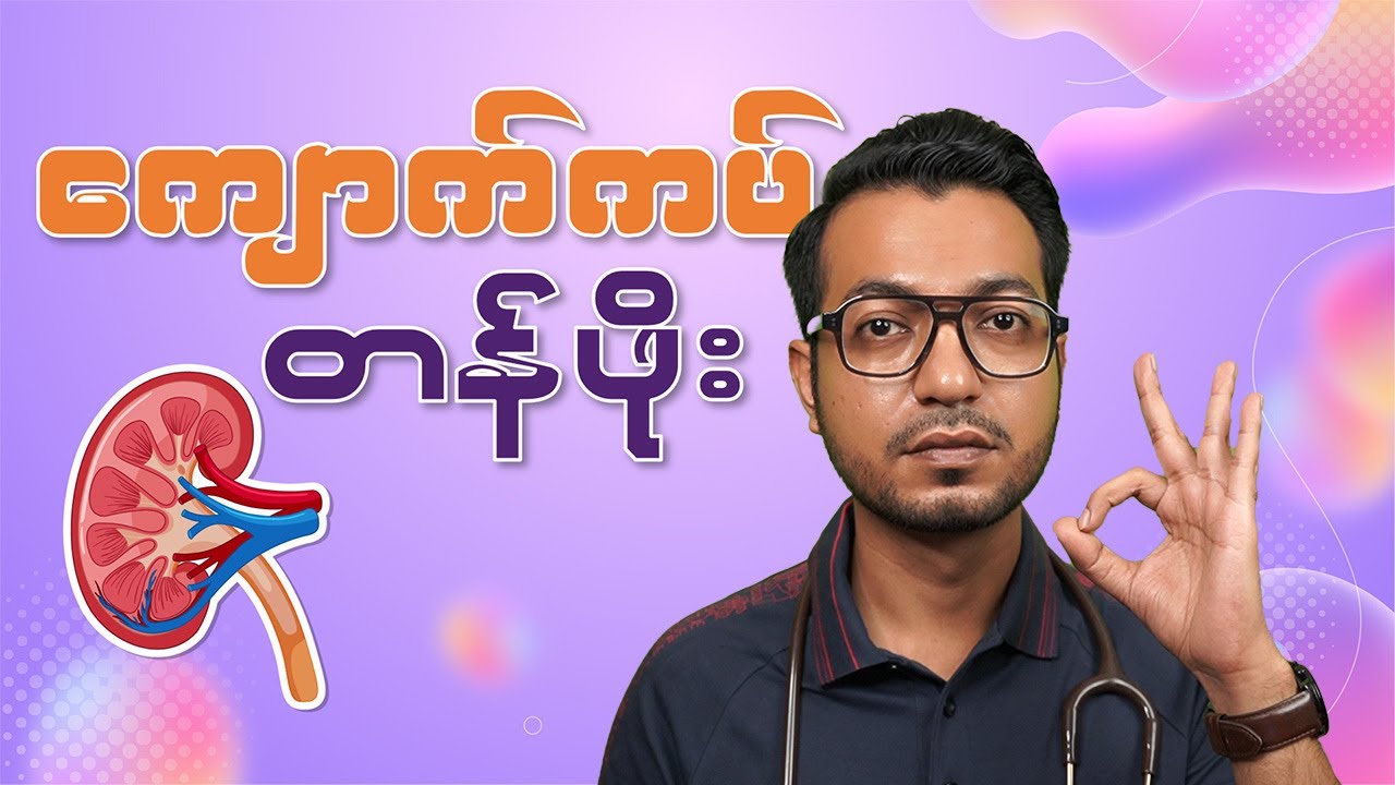 ကျောက်ကပ်တန်ဖိုး | Value of Kidneys | by Dr. Zwe