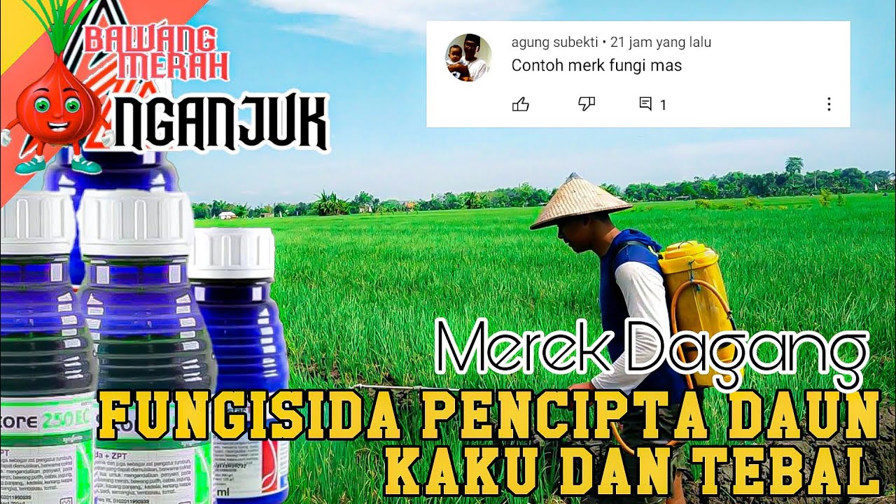 TANPA BOROS MODAL🔴 SUDAH MAMPU BIKIN DAUN SEHAT,KAKU,KUAT,DAN TEBAL ▶️ DENGAN PESTISIDA INI.......