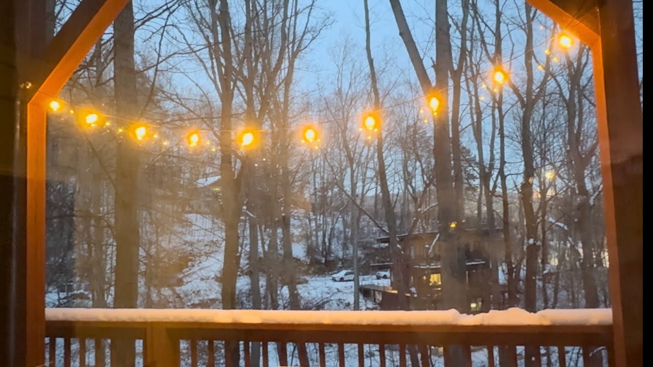 Snow Day ❄️ | Asheville, NC