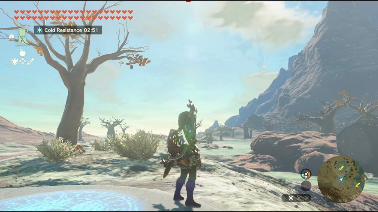 There's a Reason People Linger Here | Zelda Live