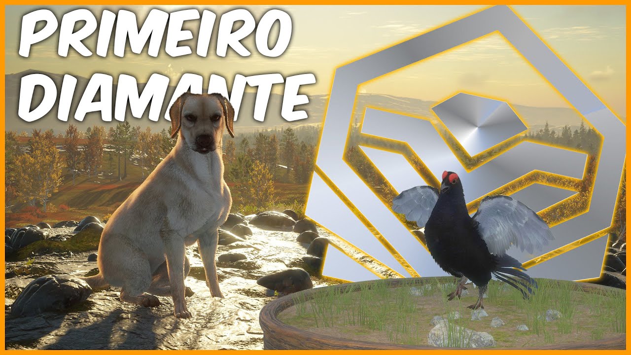 PRIMEIRO DIAMANTE CAÇANDO COM O NOVO CACHORRO LABRADOR - THE HUNTER CALL OF THE WILD