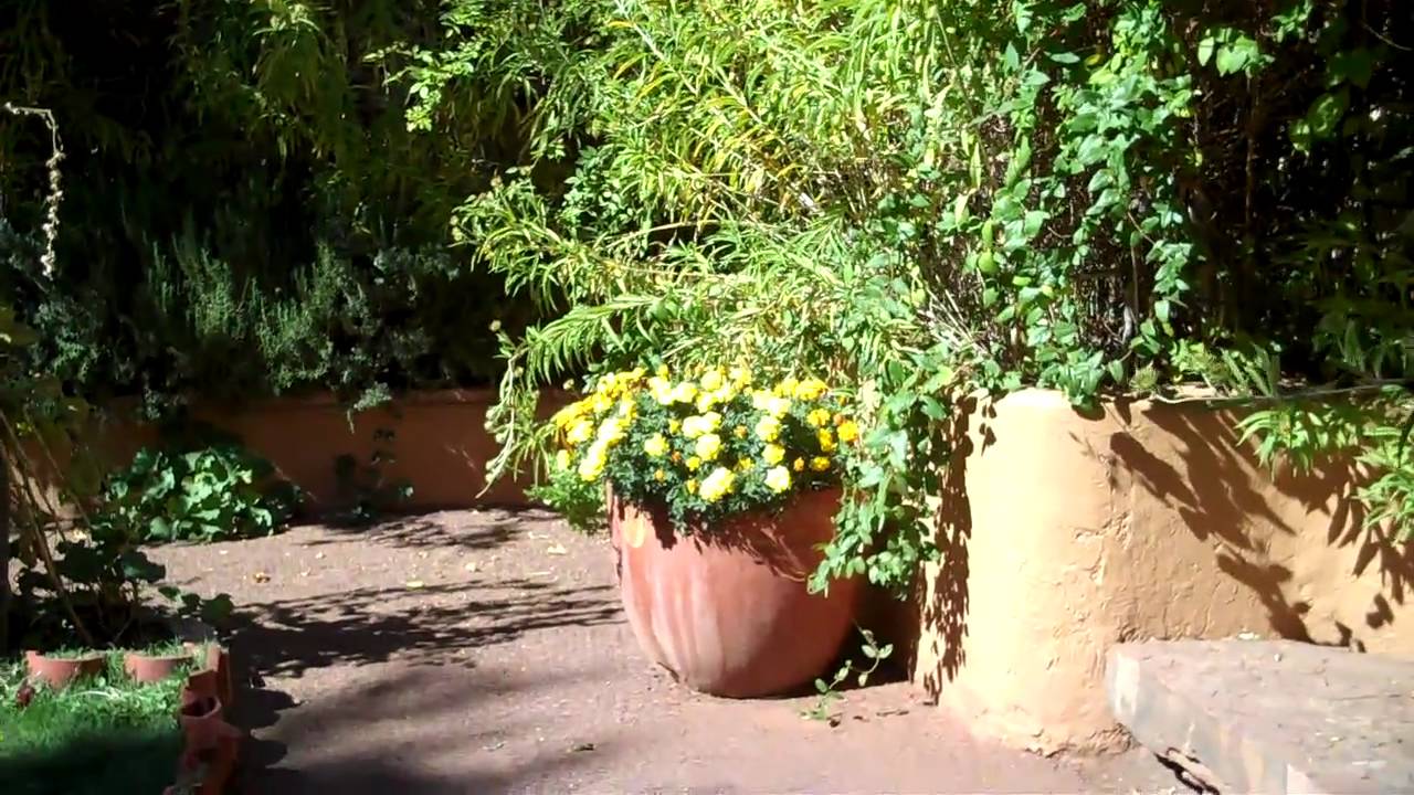 VID00103