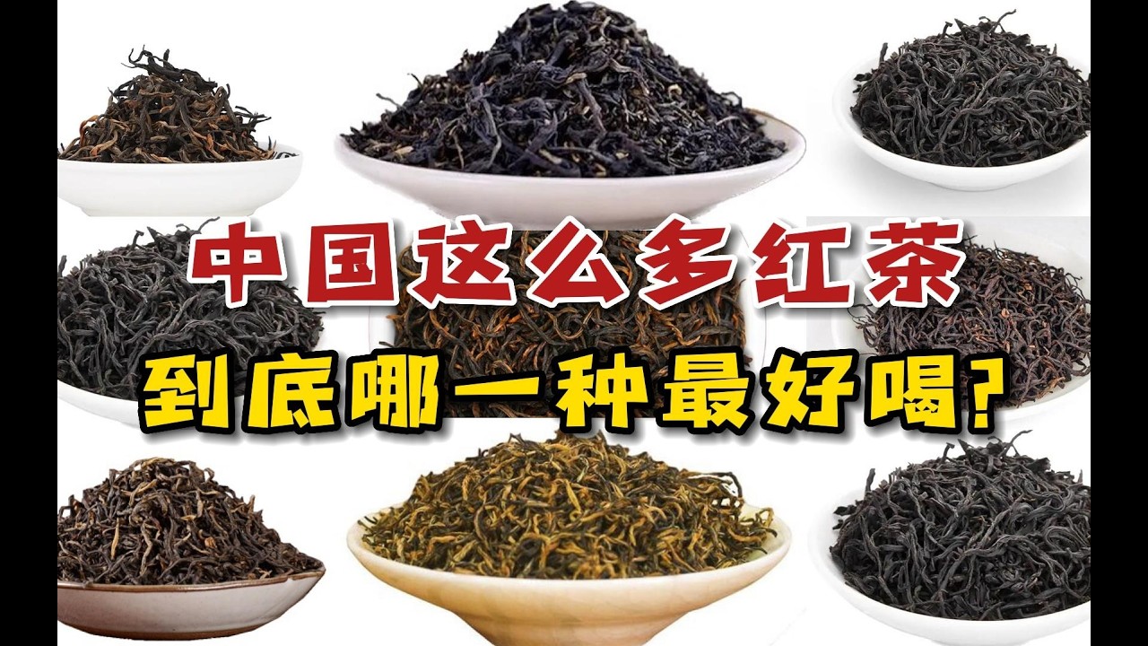 中国这么多种红茶，到底哪一种最好喝？谁才是红茶界的老大哥？#喝茶 #红茶 #品种 #中国红茶 #祁门红茶 #正山小种
