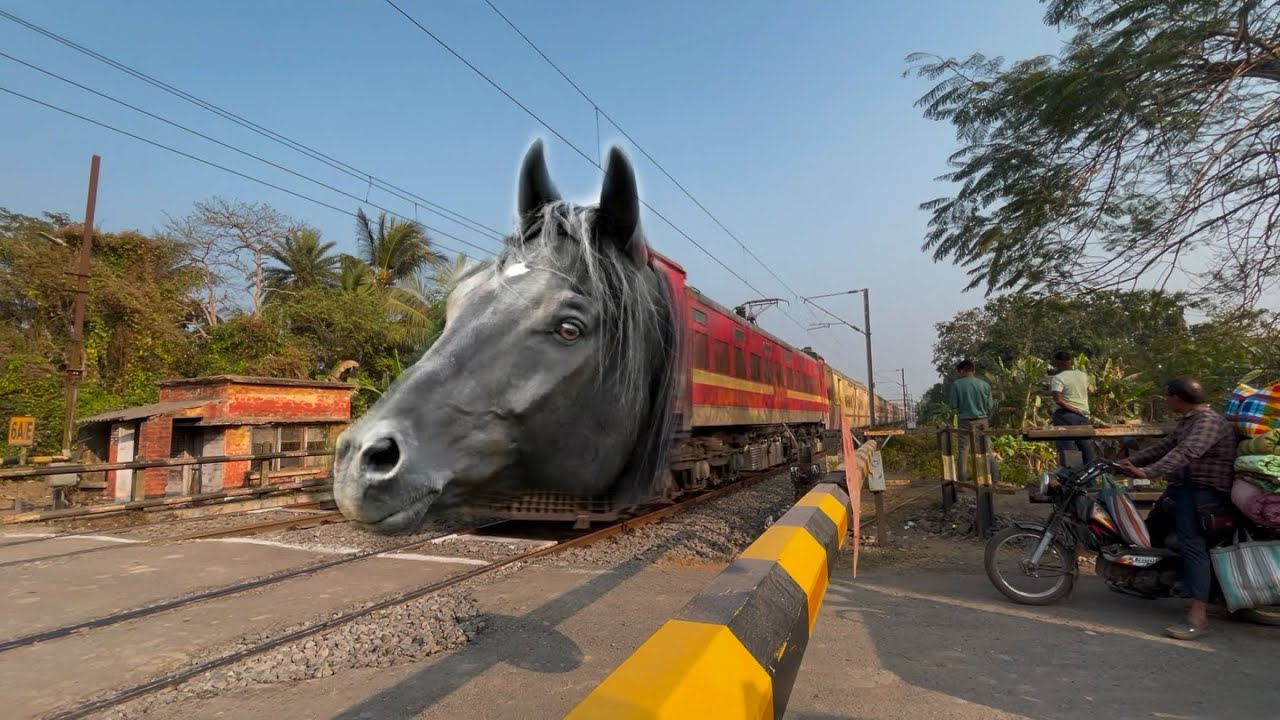 Dangerous Horse Headed Kulik Express Furious Passing Throughout at Railgate Crossing 