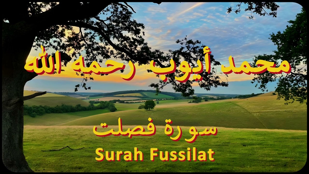 سورة فصلت كاملة | الشيخ محمد أيوب