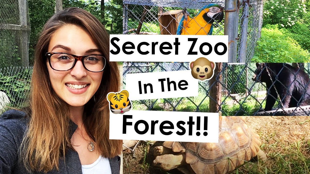 Visiting An Animal Rescue! | DEW Haven
