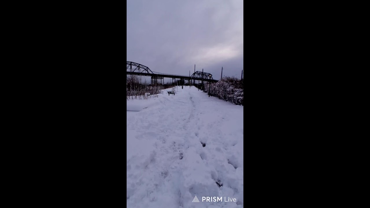 Nyc weschester ave snow Tours  second storm 2026
