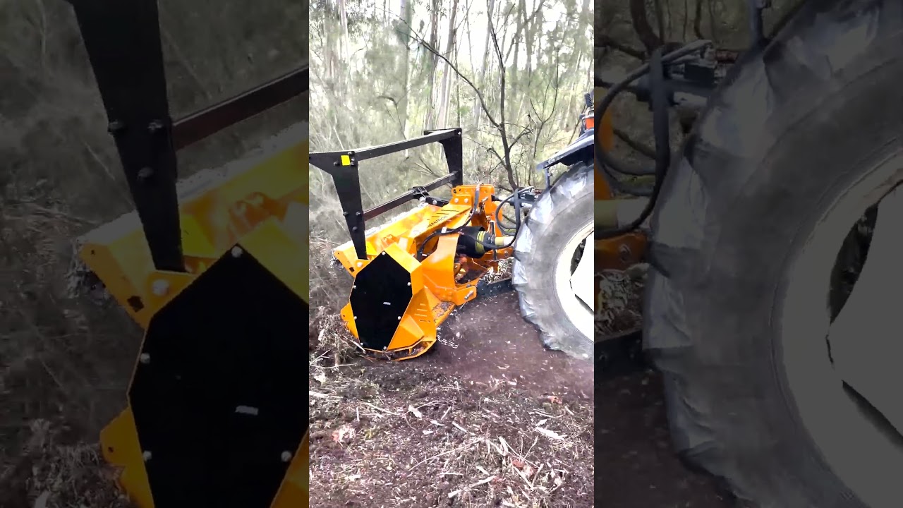 Berti Forestry Mulcher KX - #shorts #forestrymulching #mulcher #forestrymulcher