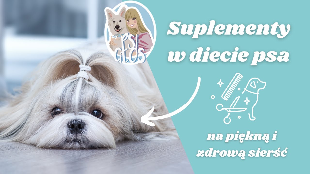 Suplementy na piękną i zdrową sierść dla psa