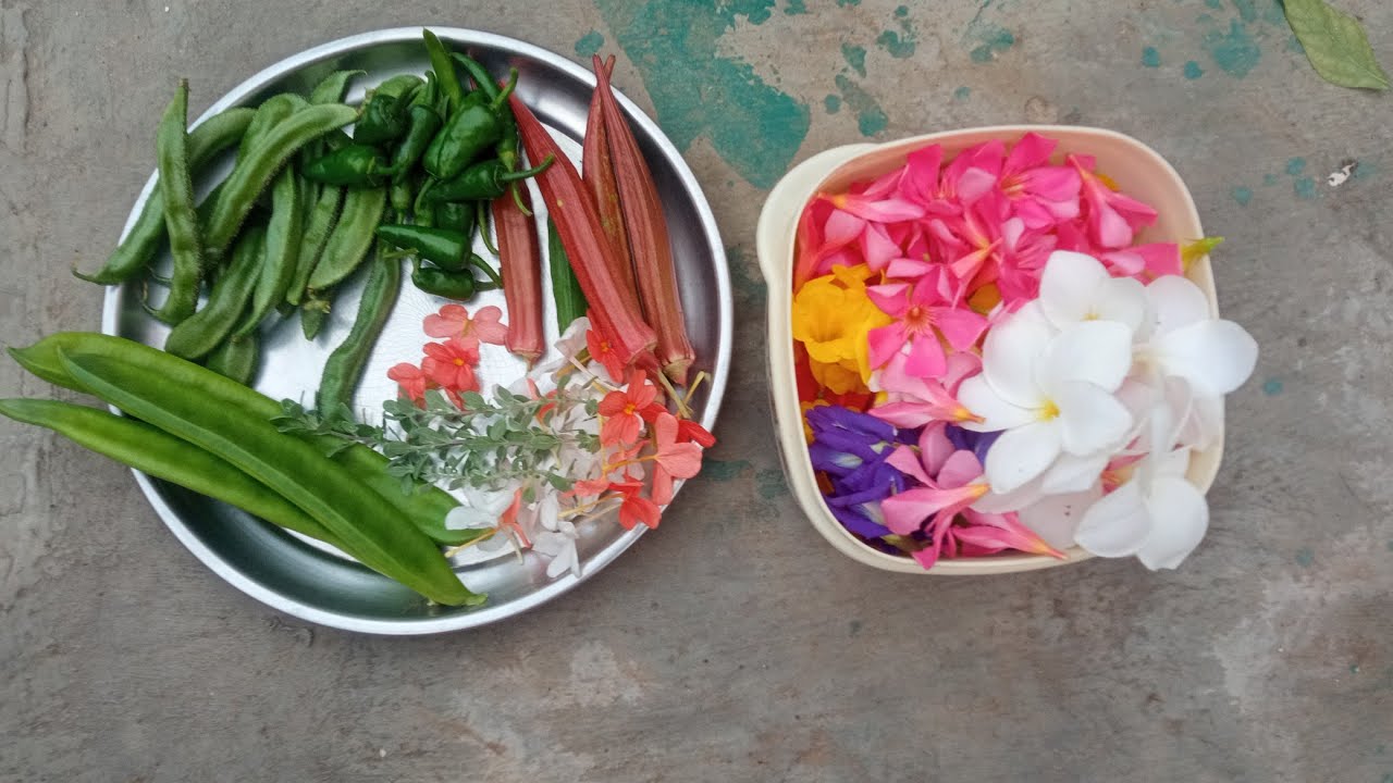 పచ్చిమిరపకాయలు చిక్కుడుకాయలు బెండకాయలు  పూలు హార్వెస్టింగ్