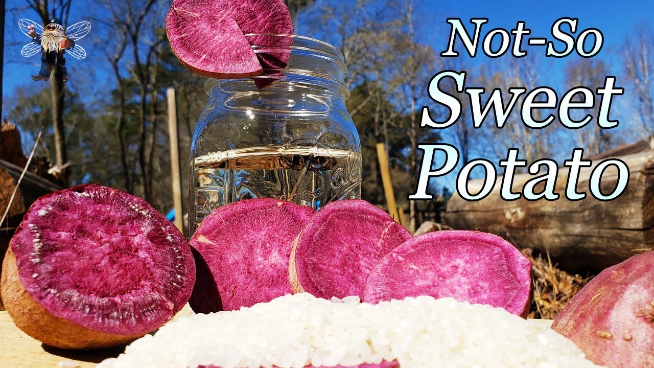 Japanese SHOCHU from PURPLE SWEET POTATOES!