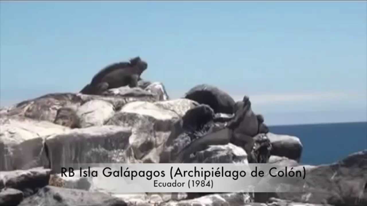 Am&eacute;rica Latina y el Caribe, la regi&oacute;n con m&aacute;s biodiversidad del mundo