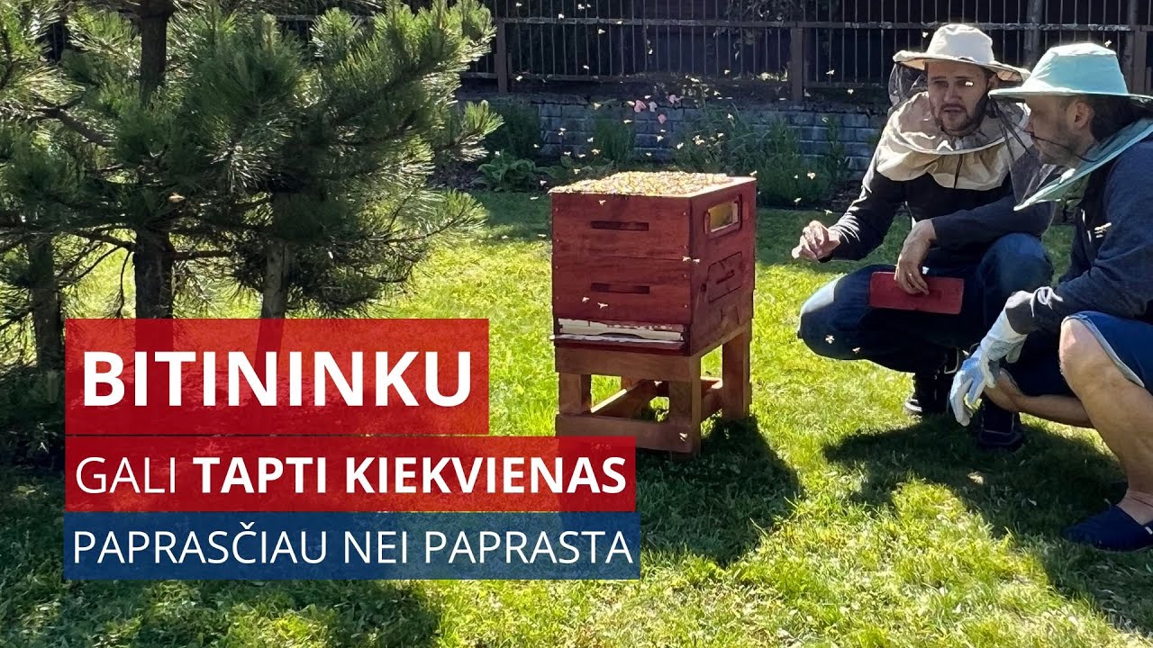 Dabar bitininku gali tapti kiekvienas. Tai paprasčiau nei paprasta