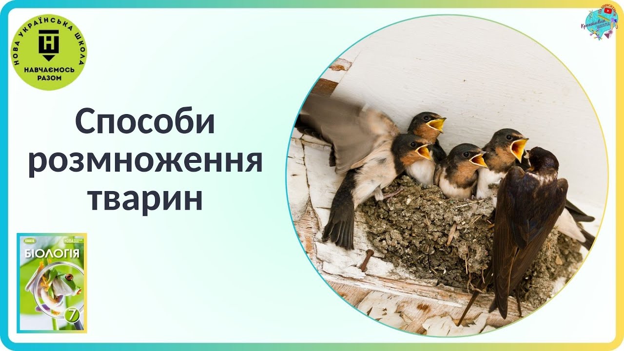Способи розмноження тварин