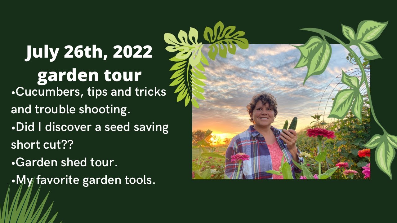 RuthAnn's July 26th garden tour