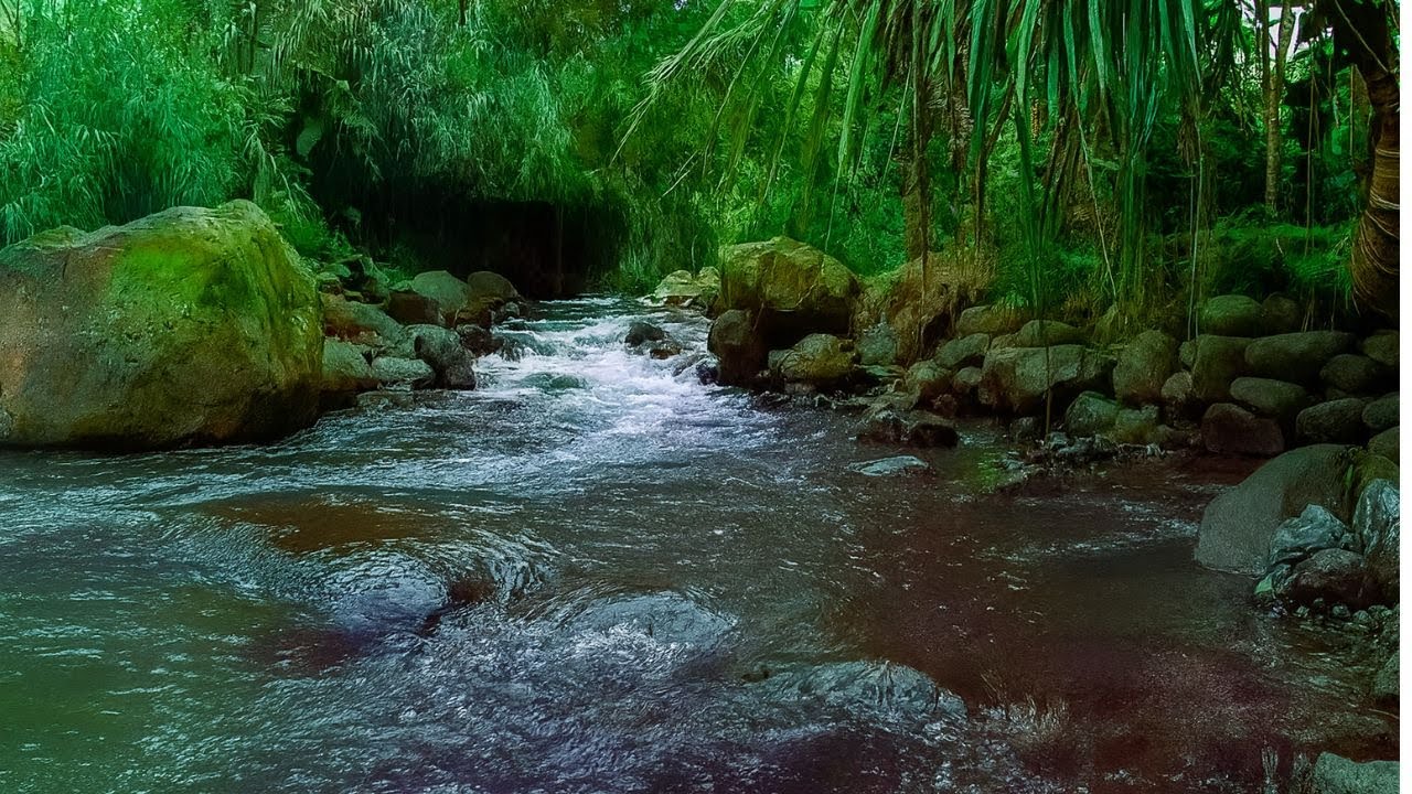 🔴 Live: Naturgeräusche – Fluss im Wald | Schlafhilfe, Fokus & Calm Sounds 24/7