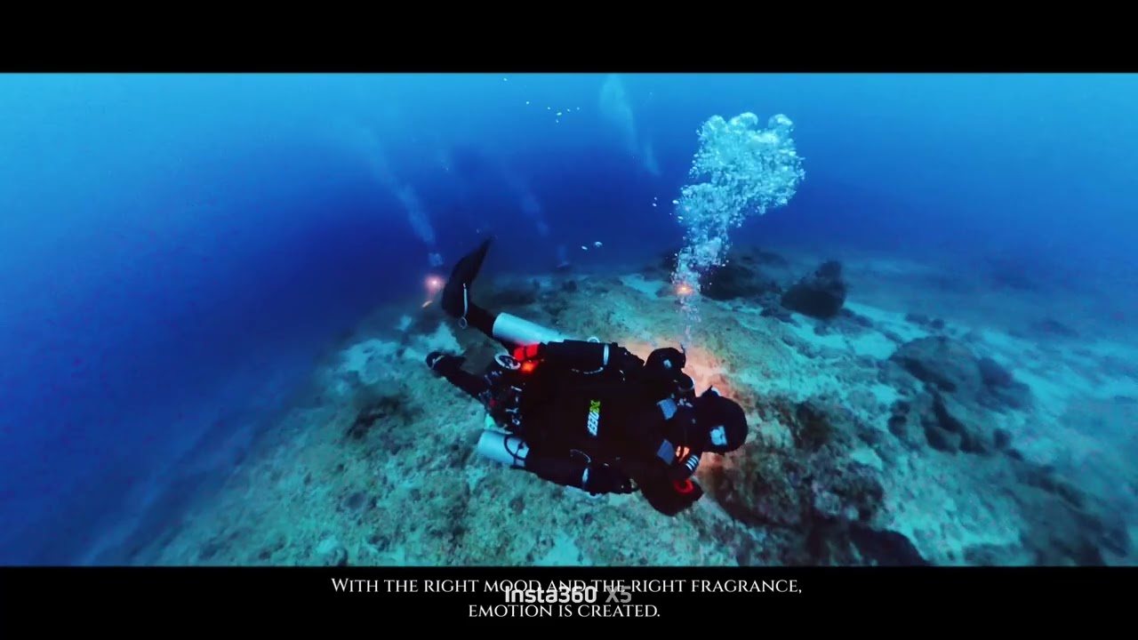 @takedive SNSI KOREA TEAM TEC FUN DIVE