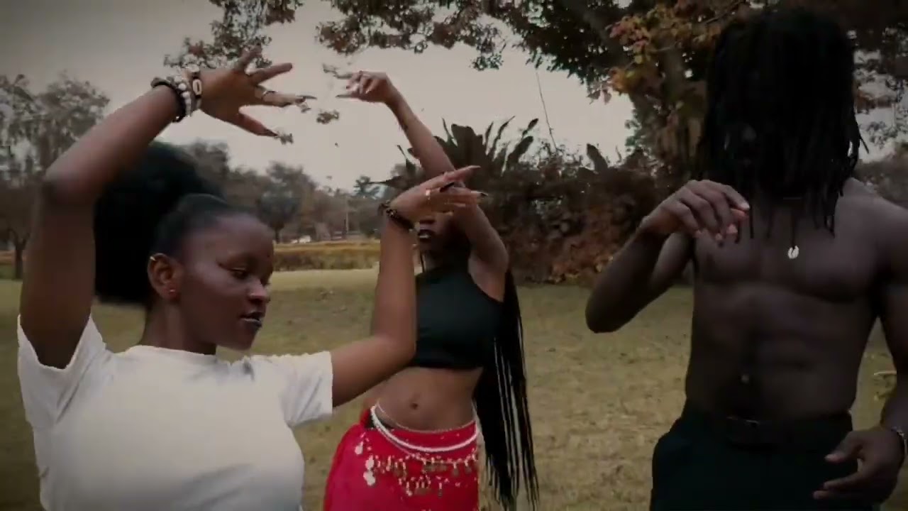 Fireboy DML Dopamine(dance cover)