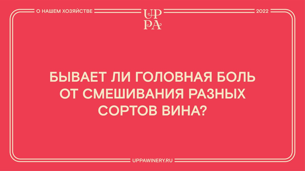Бывает ли головная боль от смешивания разных сортов вина?