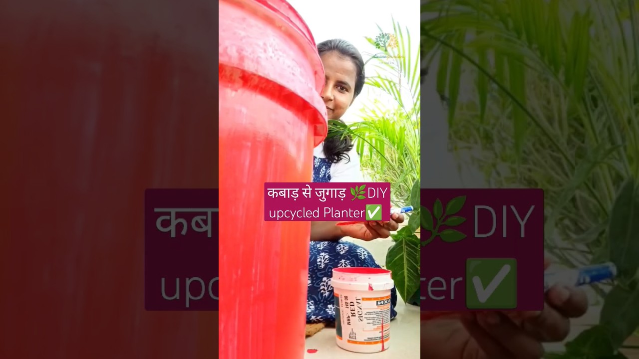 कबाड़ से जुगाड़ 🌿DIY upcycled Planter from old paint bucket ✅ #divinegarden98 #shorts #diy