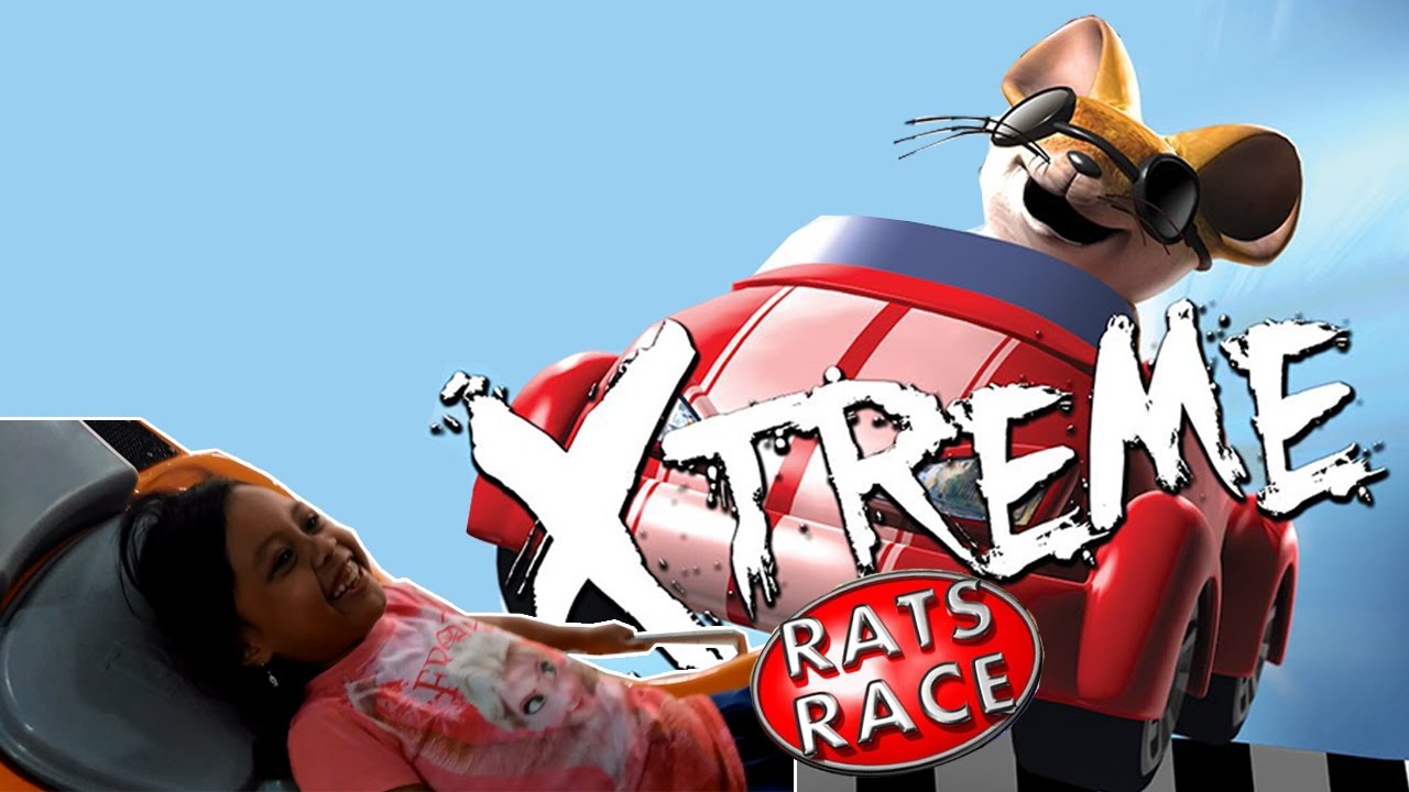 Game play - Typhoon Ride Rat Race