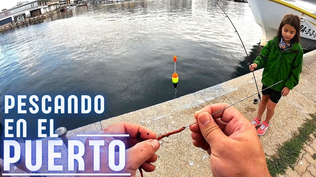 Pescando a boya, a fondo y a spinning en el puerto.