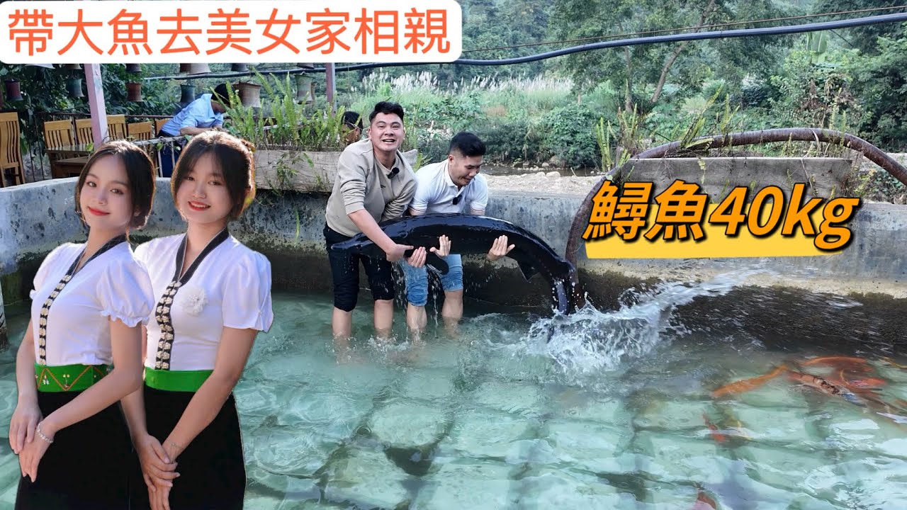 抓大鱘魚（40kg）去越南姑娘家提親,她父母會不會同意呢？