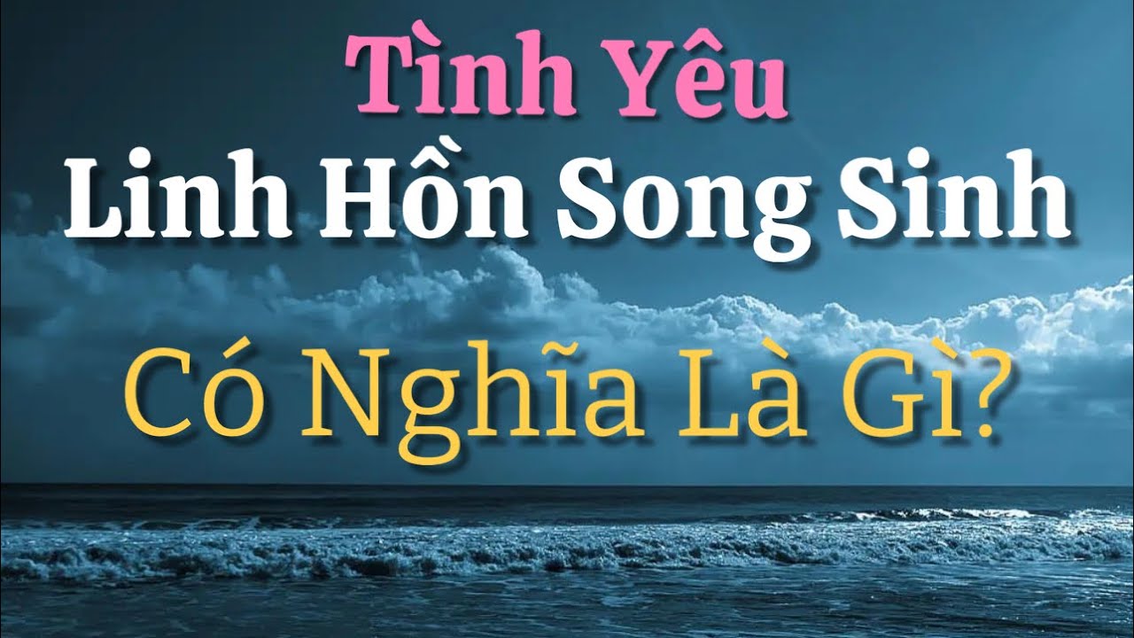 Tình Yêu Linh Hồn Song Sinh Có Nghĩa Là Gì ?