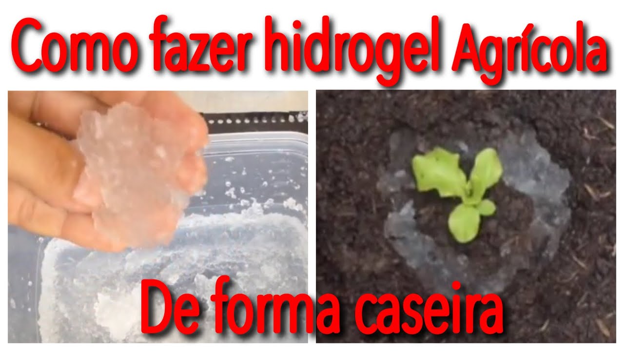 Faça hidrogel agrícola na sua casa