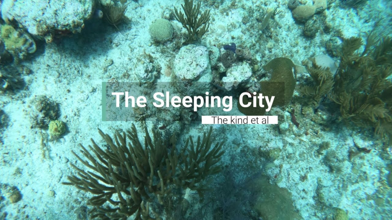 The Sleeping City | Relaxing Storytelling for Deep Sleep & Stress Relief