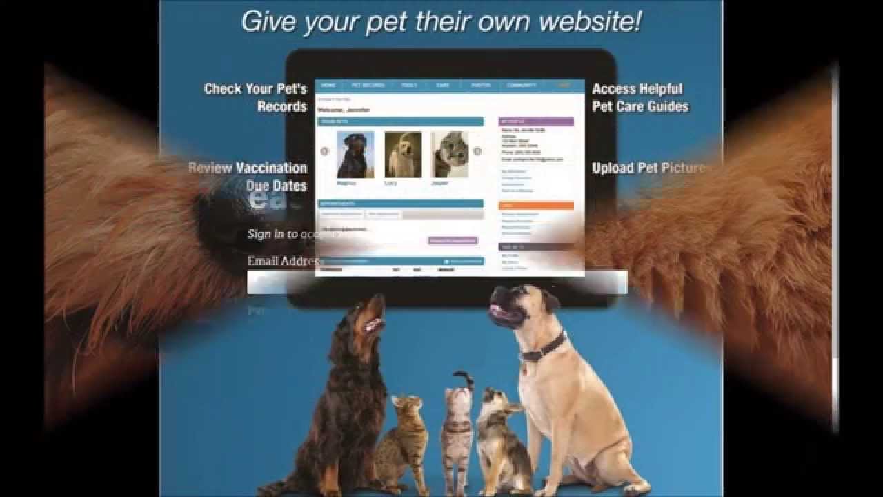 Using Your Free Pet Portal
