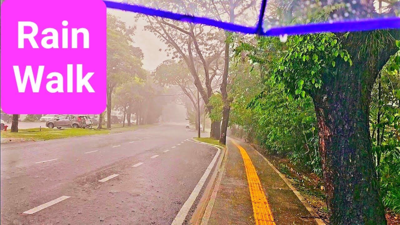 Walking in the Rain (Vid-82) at Taman Tun Abdul Razak, in Kuala Lumpur, Malaysia.