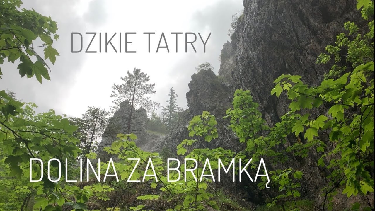 Wycieczka przyrodnicza - Dolina za Bramką