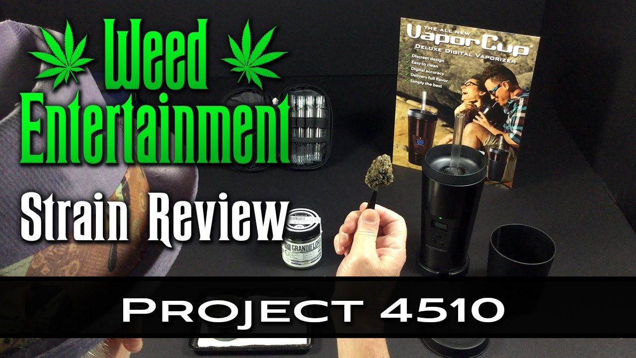 Project 4510 - Hybrid - by Grandiflora - Strain Review - from Dr Greenthumbs, Sylmar Ca