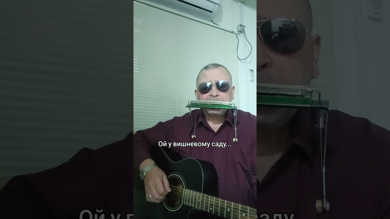 Ой у вишневому саду...