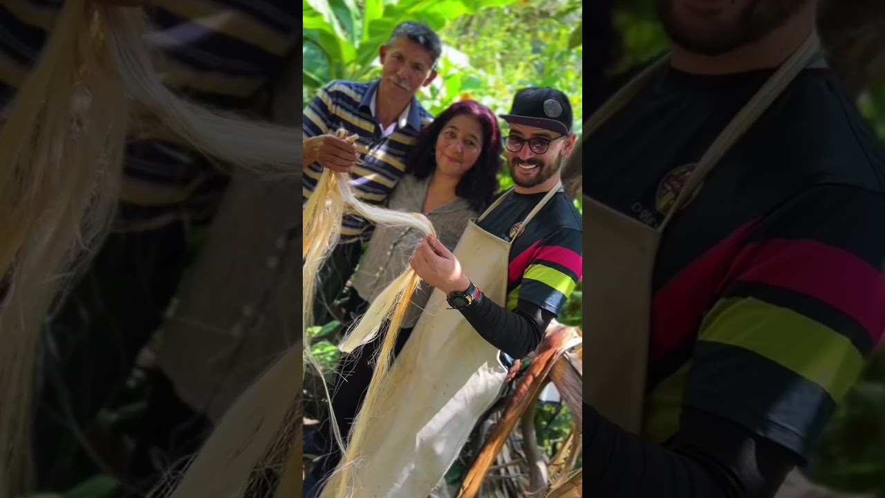 ¡Artesanias realizadas con la fibra del tallo de la planta del Plátano!