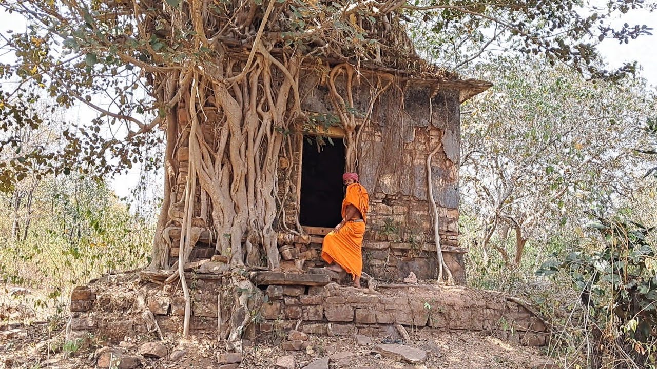 42 शेरों के साथ घने जंगल की दिव्य कुटी में साधना करते हैं संत