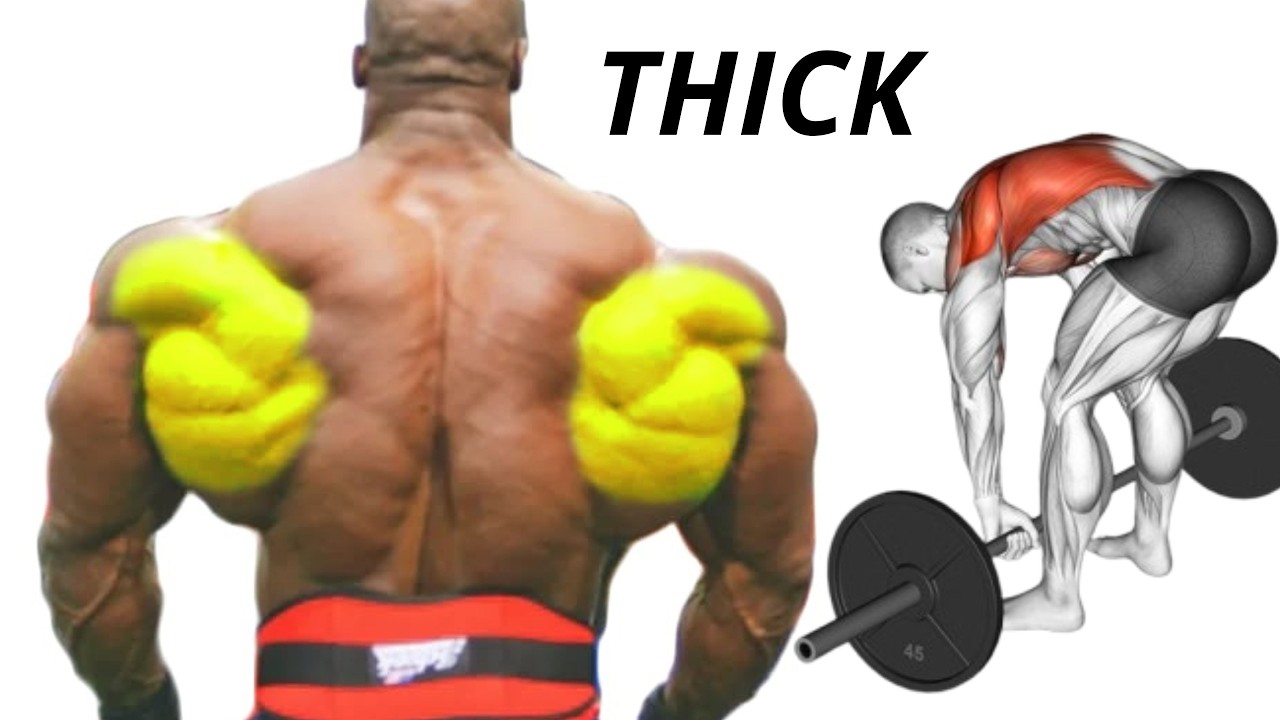 You just need these 3 exercises to get a thickness  back