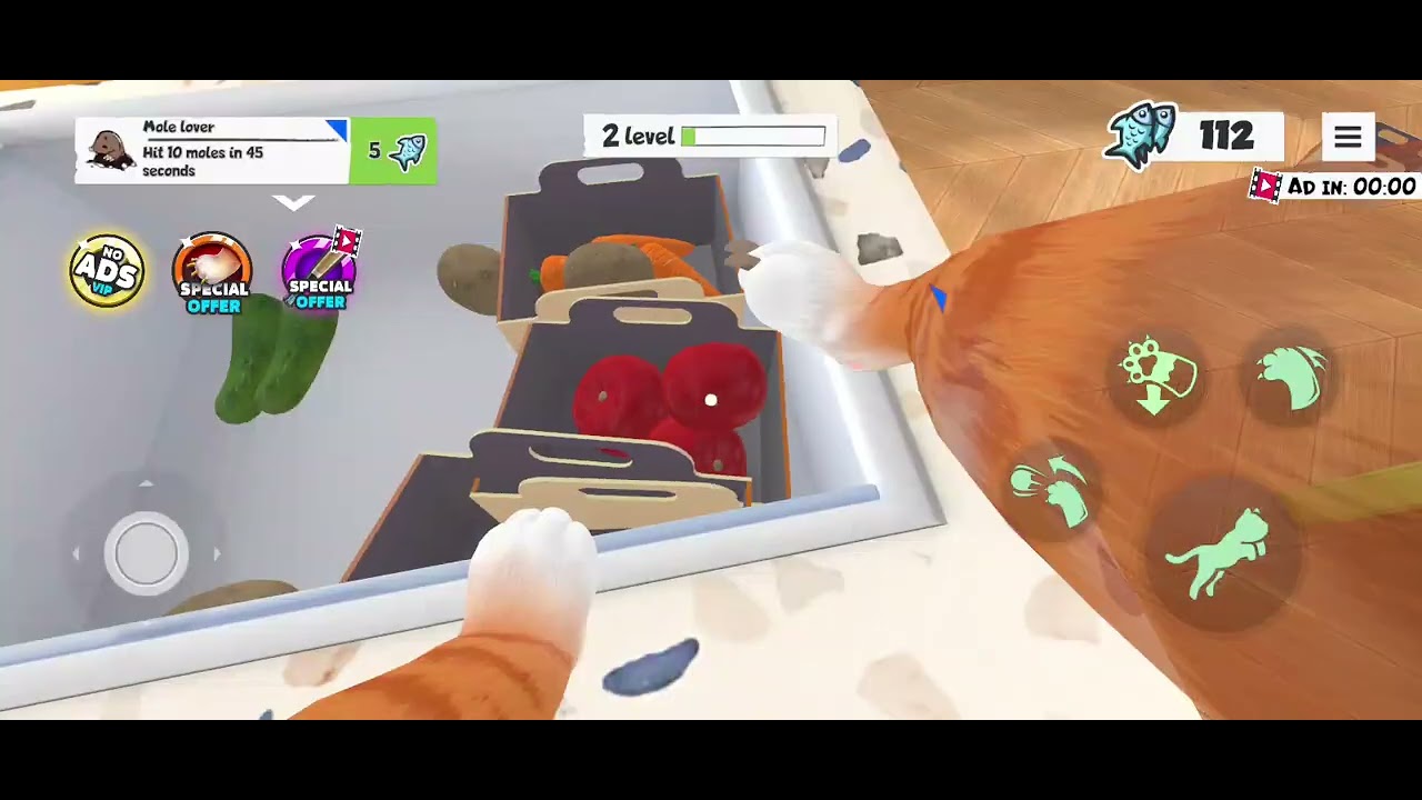 ٢ مارس ٢٠٢٦