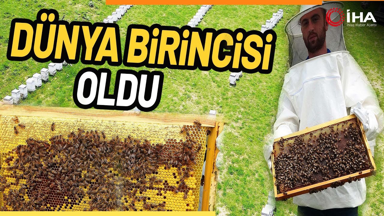 600 Bal İçerisinde Londra'daki Yarışmada Birinci Seçildi
