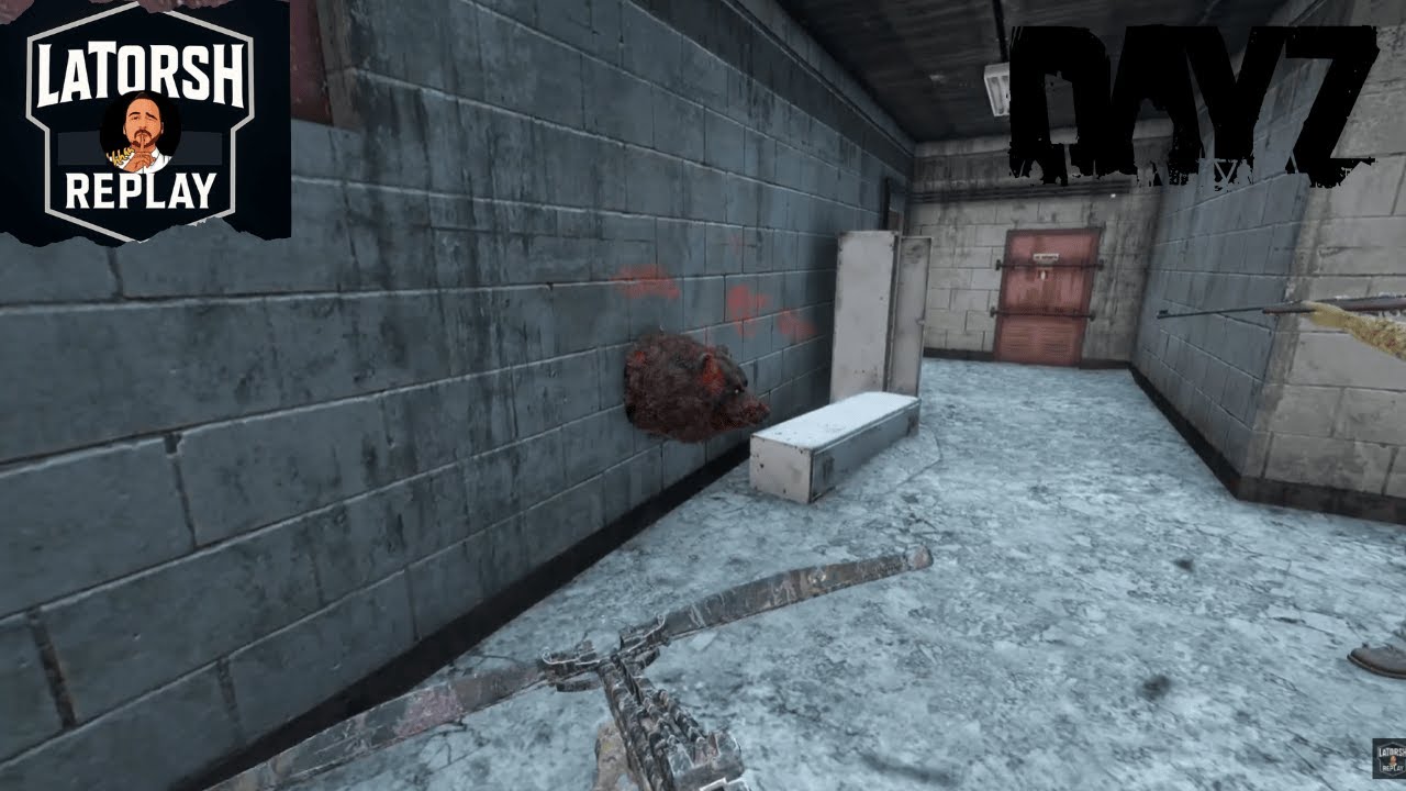 DayZ Live — 5 juin 2025 — Bunker de Green County , ours, grenades et mort au lance-grenades