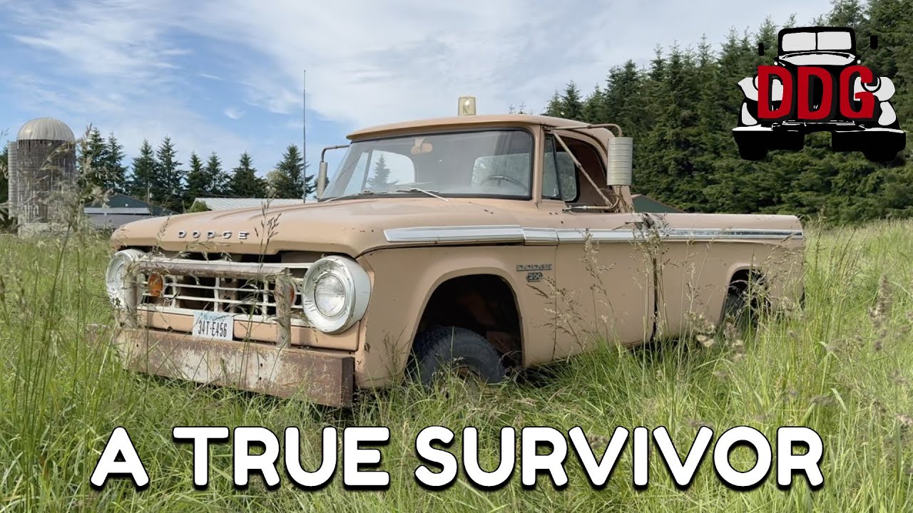 Этот Dodge W200 Power Wagon 1967 года сохранил оригинальную краску (и едет как груда кирпичей)
