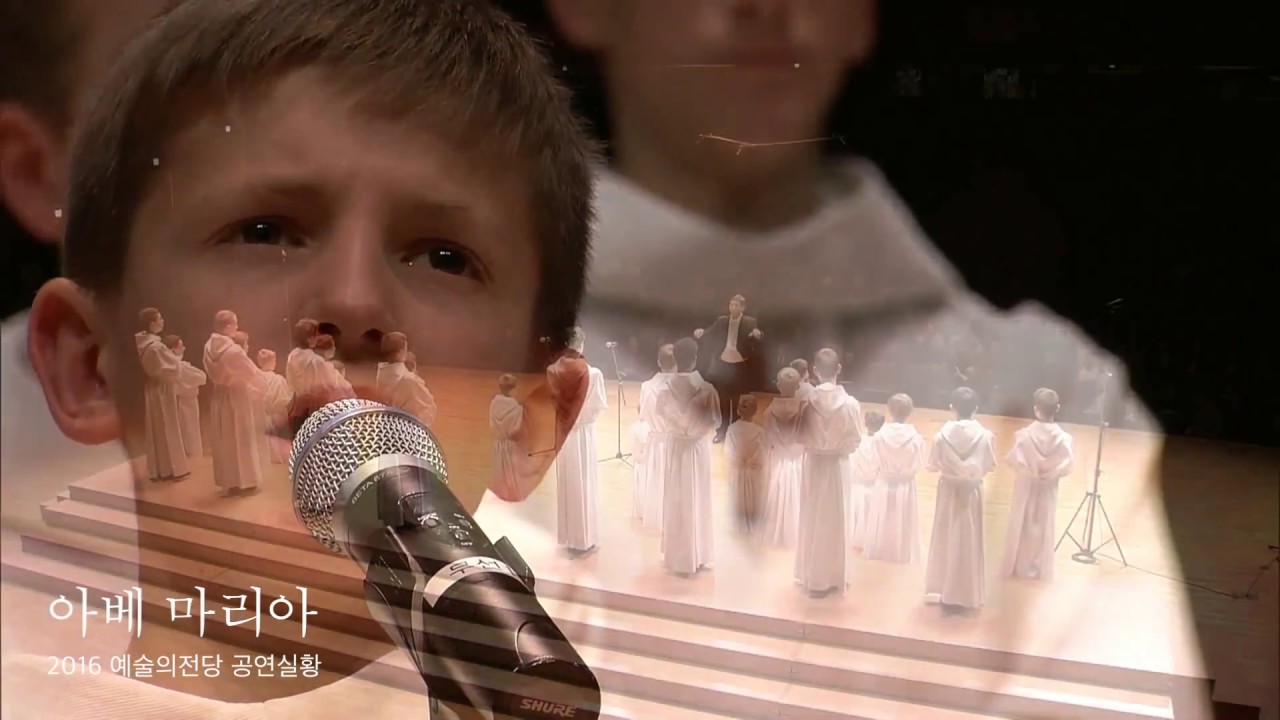 카치니의 아베마리아(Ave Maria) | 파리나무십자가 소년합창단 Les Petits Chanteurs à la croix de bois